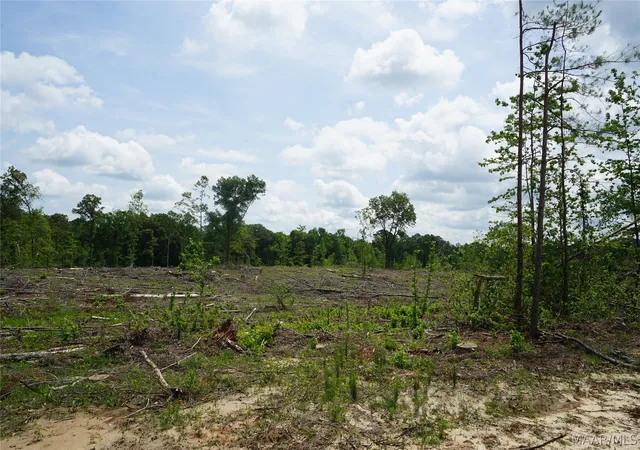 Photo 3 of Sale Pending at 1300 Jackson Rd, Fitzpatrick, AL 36029 | MLS# 587116 | Listing updated on 2026-09-16