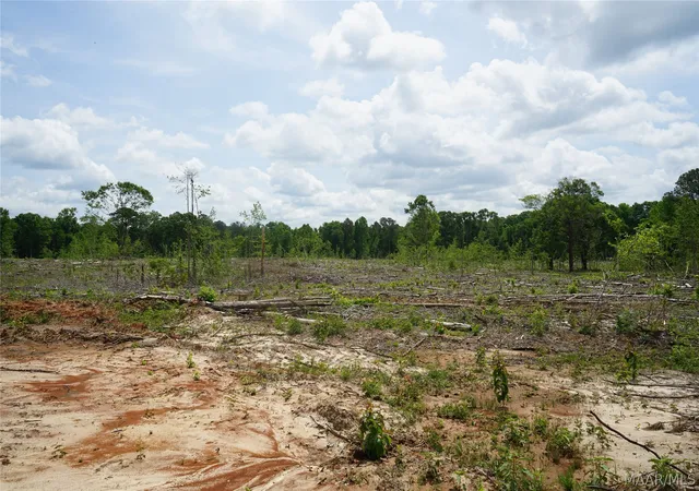 Photo 4 of Land for sale at 1300 Jackson Rd, Fitzpatrick, AL 36029 | MLS# 587116 | Listing updated on 2026-08-28