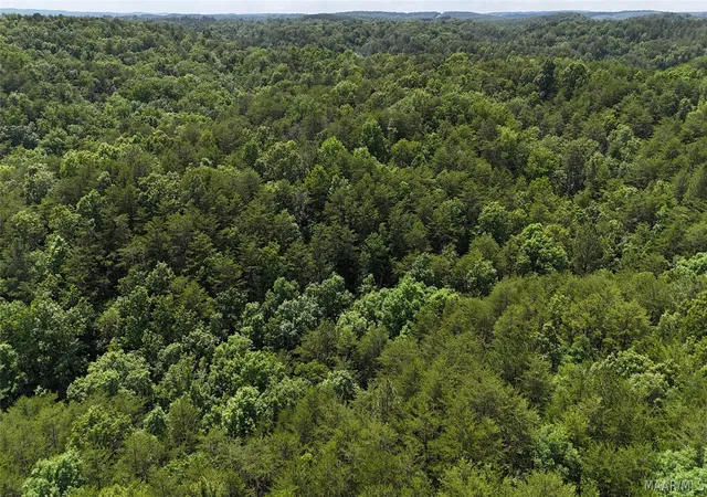 2nd image of 1450 Sr 145 Grand Point, Clanton, AL 35046 | MLS# 587134