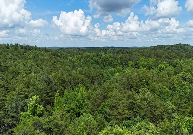 3rd image of 1450 Sr 145 Grand Point, Clanton, AL 35046 | MLS# 587134