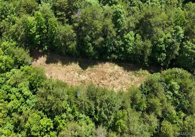 4th image of 1450 Sr 145 Grand Point, Clanton, AL 35046 | MLS# 587134