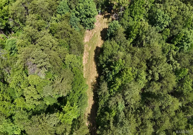 5th image of 1450 Sr 145 Grand Point, Clanton, AL 35046 | MLS# 587134