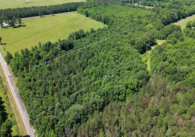 3rd image of 4884 Scott Station Rd, Marion, AL 36756 | MLS# 587203