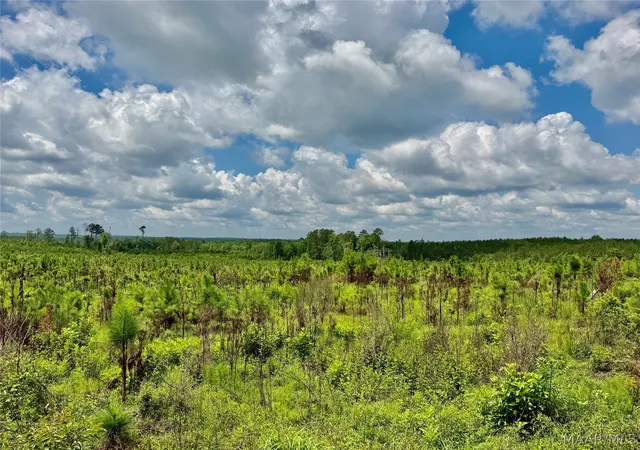 1st image of 00 King Cemetery Rd, Evergreen, AL 36401 | MLS# 587281
