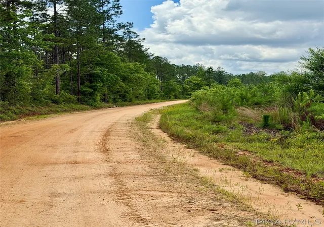 2nd image of 00 King Cemetery Rd, Evergreen, AL 36401 | MLS# 587281