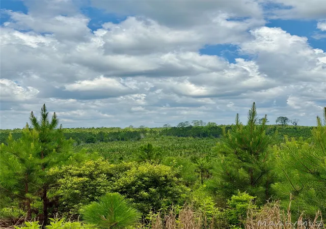 3rd image of 00 King Cemetery Rd, Evergreen, AL 36401 | MLS# 587281