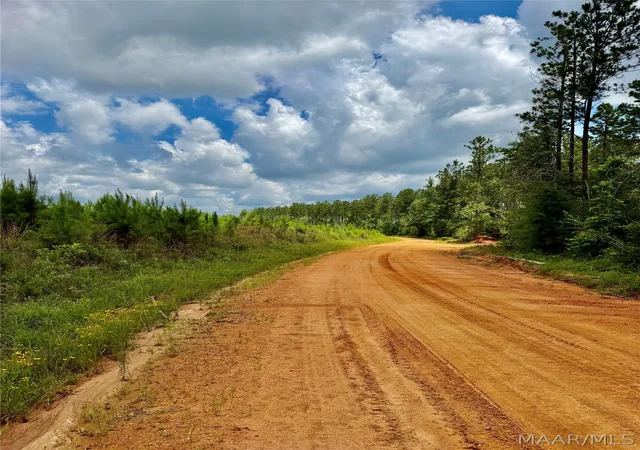 5th image of 00 King Cemetery Rd, Evergreen, AL 36401 | MLS# 587281