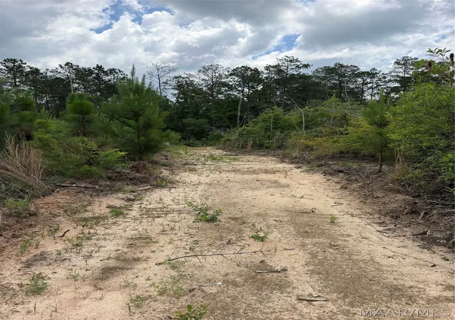 6th image of 00 King Cemetery Rd, Evergreen, AL 36401 | MLS# 587281