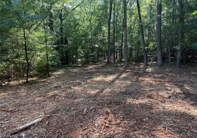 1st image of 2350 Spigener Rd, Titus, AL 36080 | MLS# 587295