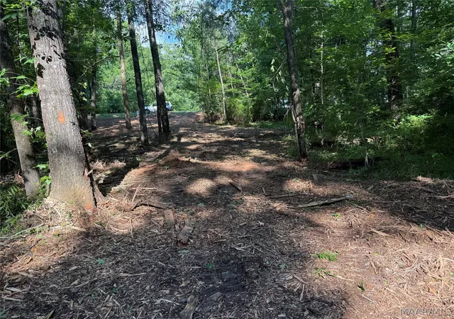 5th image of 2350 Spigener Rd, Titus, AL 36080 | MLS# 587295