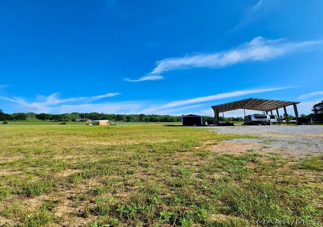 Homes for sale in Billingsley, AL | 1372 N County Rd 1 Rd N, Billingsley, AL 36006 | MLS# 587235