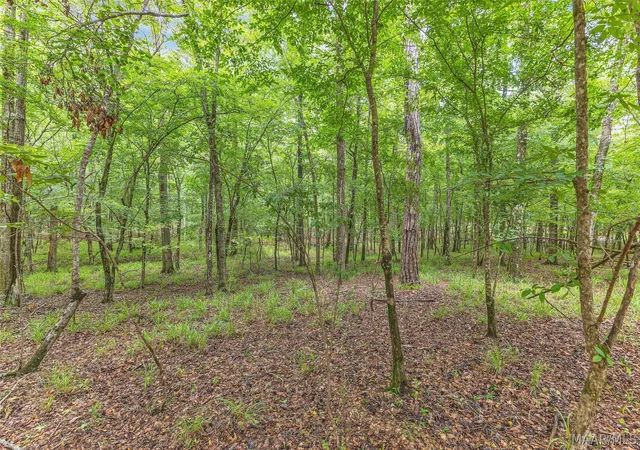 Homes for sale in Wetumpka, AL | 00 Mark Trl N, Wetumpka, AL 36093 | MLS# 587369