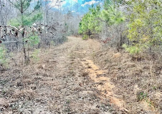 22nd image of 1 Union Rd, Eclectic, AL 36024 | MLS# 587517