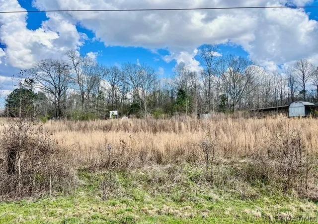 3rd image of 1 Union Rd, Eclectic, AL 36024 | MLS# 587517