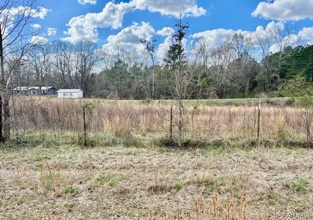 4th image of 1 Union Rd, Eclectic, AL 36024 | MLS# 587517