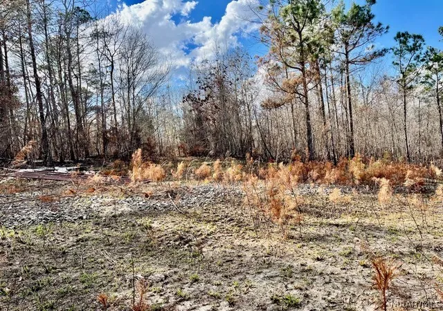 5th image of 1 Union Rd, Eclectic, AL 36024 | MLS# 587517