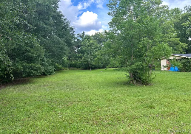 Homes for sale in Orrville, AL | 167 County Road 162 Road, Orrville, AL 36767 | MLS# 587567
