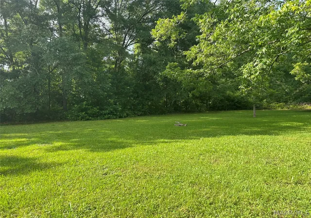 Homes for sale in Orrville, AL | 167 County Road 162 Road, Orrville, AL 36767 | MLS# 587567
