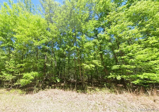 Photo 1 of Land for sale at 0 County Rd 19, Hardaway, AL 36039 | MLS# 587582 | Listing updated on 2026-08-27