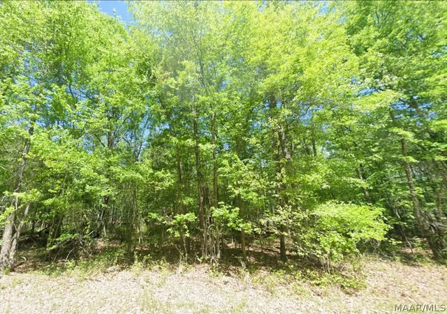 Photo 2 of Land for sale at 0 County Rd 19, Hardaway, AL 36039 | MLS# 587582 | Listing updated on 2026-08-27