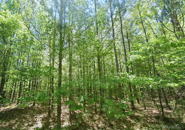 Photo 2 of Land for sale at 0 County Rd 19, Hardaway, AL 36039 | MLS# 587582 | Listing updated on 2026-08-27