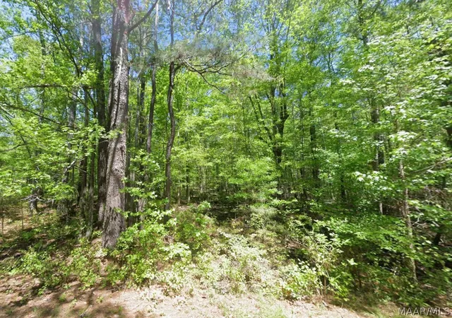 Photo 3 of Land for sale at 0 County Rd 19, Hardaway, AL 36039 | MLS# 587582 | Listing updated on 2026-08-27