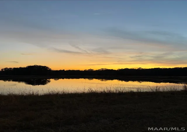 47th image of 80702 Tallassee Hwy, Eclectic, AL 36024 | MLS# 587592