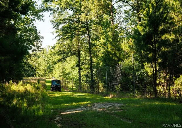 5th image of 249 Old Sellers Rd, Ramer, AL 36069 | MLS# 587554