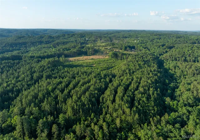 75th image of 0 Milldale Rd, Brookwood, AL 35444 | MLS# 587560