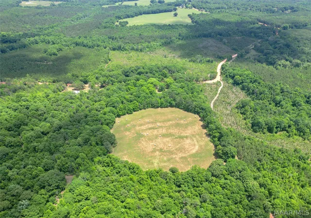 6th image of 503 Hopewell Cemetery Rd, Honoraville, AL 36042 | MLS# 586947