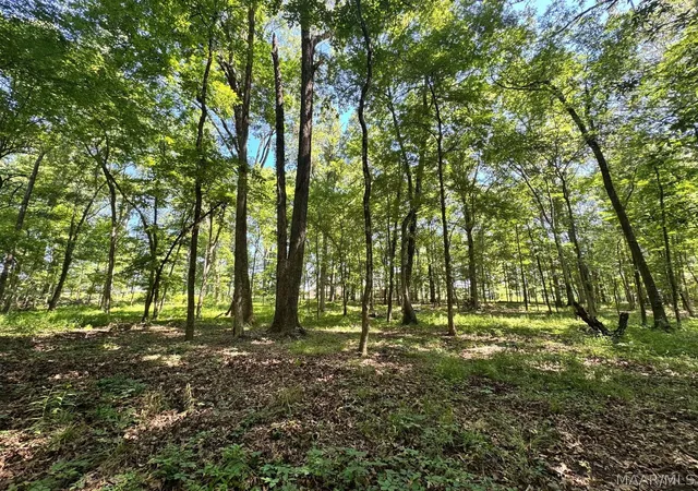 2nd image of 8 Chaseway Dr, Pike Road, AL 36064 | MLS# 587740