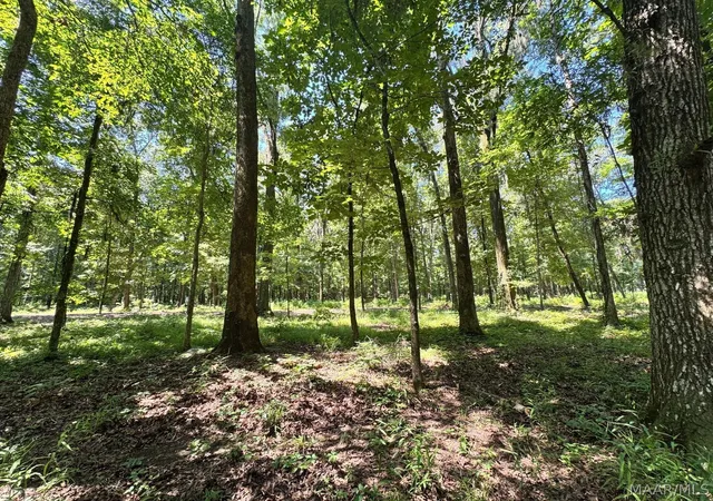 3rd image of 8 Chaseway Dr, Pike Road, AL 36064 | MLS# 587740