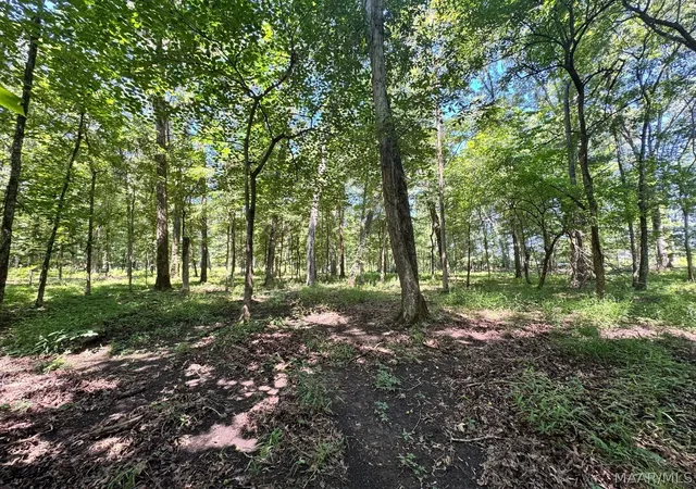 5th image of 8 Chaseway Dr, Pike Road, AL 36064 | MLS# 587740