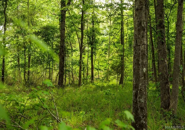 2nd image of 00 Hobbie Rd, Ramer, AL 36069 | MLS# 587786