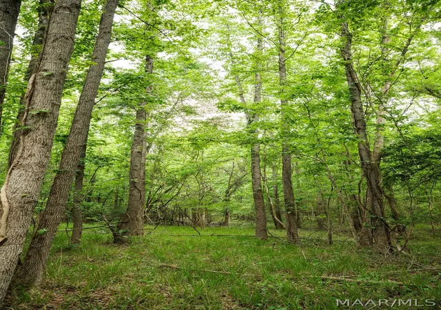 4th image of 00 Hobbie Rd, Ramer, AL 36069 | MLS# 587786