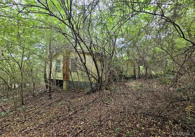 Photo 12 of Land for sale at 2520 Nettie Ln, Billingsley, AL 36006 | MLS# 587800 | Listing updated on 2026-07-29