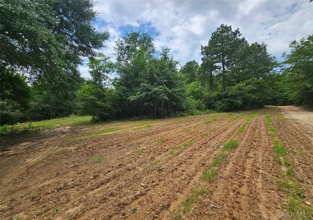 Land for sale at 2520 Nettie Ln, Billingsley, AL 36006 | MLS# 587800