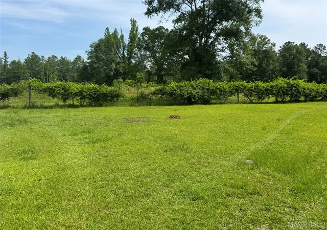 Homes for sale in Greenville, AL | 375 N Bethlehem Rd, Greenville, AL 36037 | MLS# 587687
