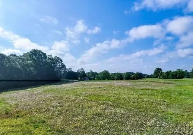 Homes for sale in Hope Hull, AL | 80 Brady Rd, Hope Hull, AL 36043 | MLS# 587798