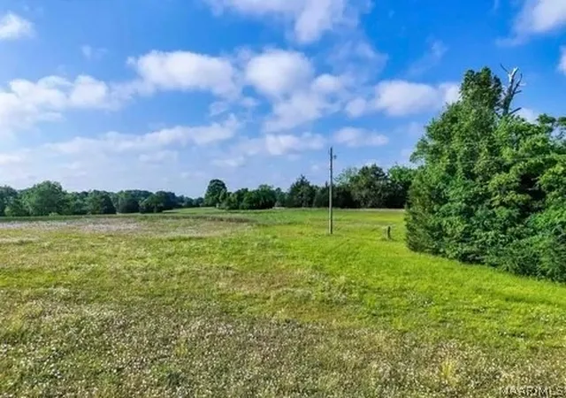Homes for sale in Hope Hull, AL | 80 Brady Rd, Hope Hull, AL 36043 | MLS# 587798