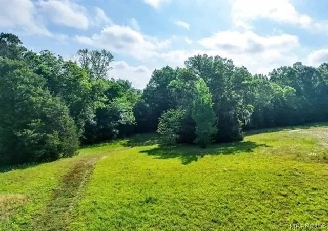 Homes for sale in Hope Hull, AL | 80 Brady Rd, Hope Hull, AL 36043 | MLS# 587798
