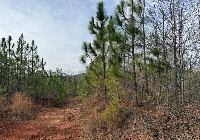 1st image of 00 Valley Rd, Goodwater, AL 35106 | MLS# 587774