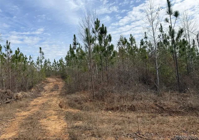 21st image of 00 Valley Rd, Goodwater, AL 35106 | MLS# 587774