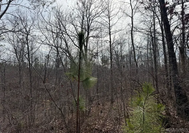 2nd image of 00 Valley Rd, Goodwater, AL 35106 | MLS# 587774
