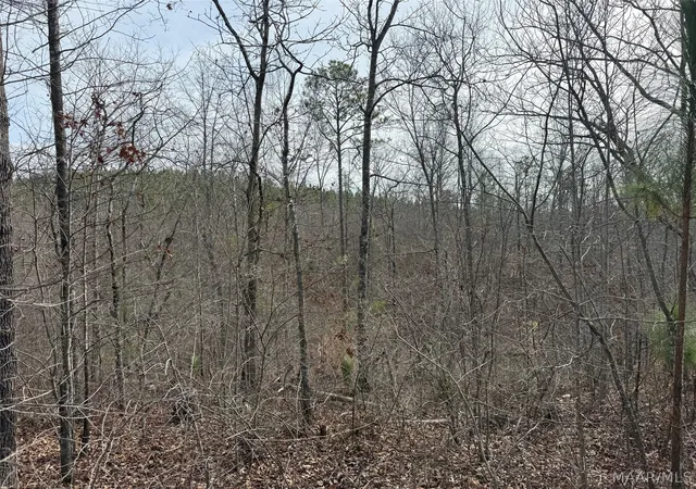 3rd image of 00 Valley Rd, Goodwater, AL 35106 | MLS# 587774