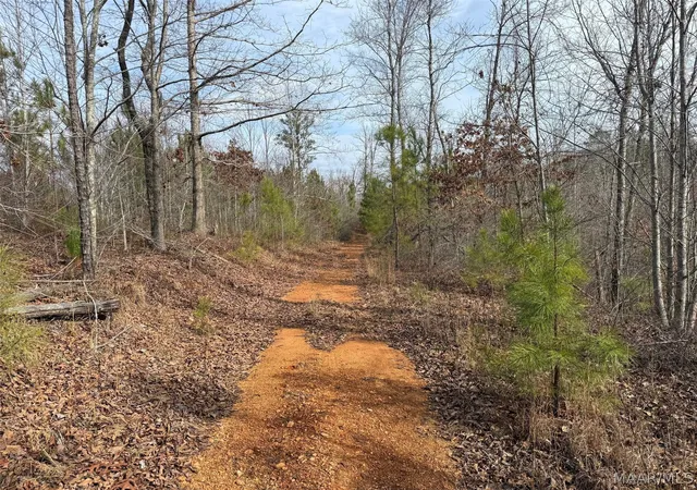 4th image of 00 Valley Rd, Goodwater, AL 35106 | MLS# 587774