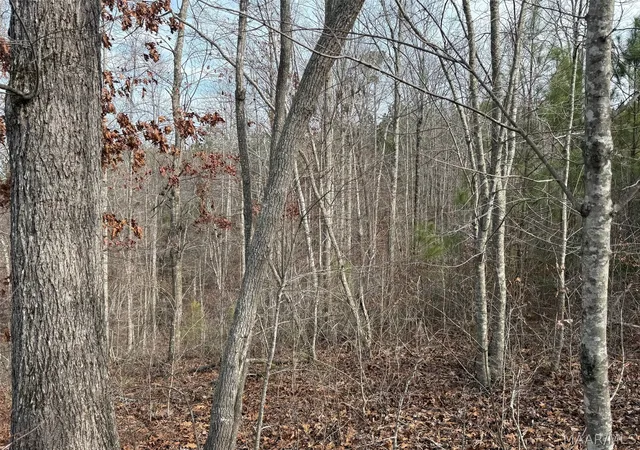 5th image of 00 Valley Rd, Goodwater, AL 35106 | MLS# 587774