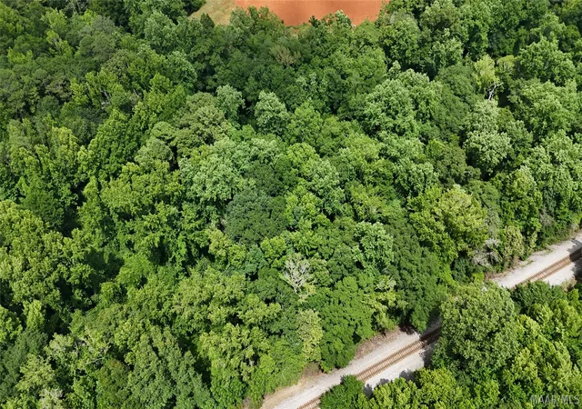 Photo 3 of Land for sale at 3100 Highway 31, Verbena, AL 36091 | MLS# 587886 | Listing updated on 2026-08-28
