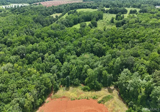 Photo 4 of Land for sale at 3100 Highway 31, Verbena, AL 36091 | MLS# 587886 | Listing updated on 2026-08-28