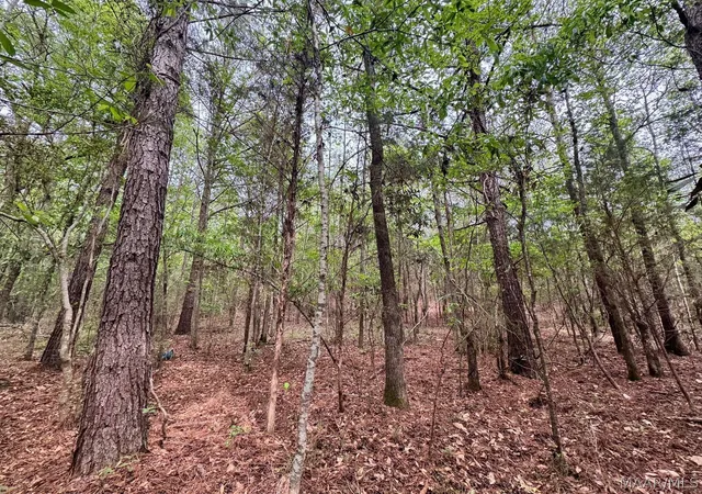 14th image of 00 W Sprague Junction Rd, Ramer, AL 36043 | MLS# 587777